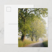 Cades Cove | Grote Smokeybergen, TN Briefkaart (Voorkant / Achterkant)