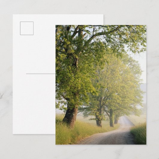 Cades Cove | Grote Smokeybergen, TN Briefkaart (Voorkant / Achterkant)