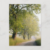 Cades Cove | Grote Smokeybergen, TN Briefkaart (Voorkant)