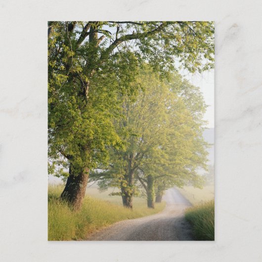 Cades Cove | Grote Smokeybergen, TN Briefkaart (Voorkant)