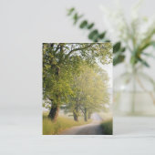 Cades Cove | Grote Smokeybergen, TN Briefkaart (Staand voorkant)