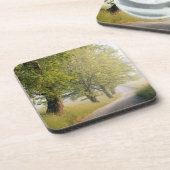 Cades Cove | Grote Smokeybergen, TN Onderzetter (Linkerzijde)