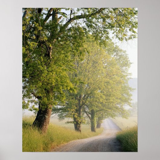 Cades Cove | Grote Smokeybergen, TN Poster (Voorkant)