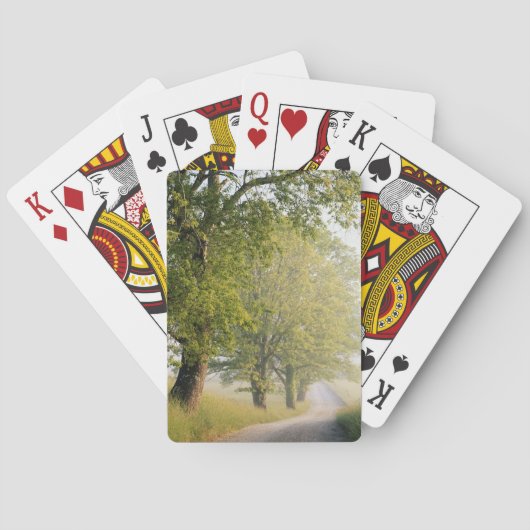 Cades Cove | Grote Smokeybergen, TN Speelkaarten (Achterkant)