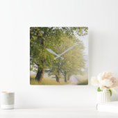 Cades Cove | Grote Smokeybergen, TN Vierkante Klok (Huis)