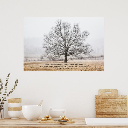 Cades Cove in de sneeuw Poster (Keuken)
