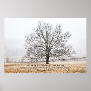 Cades Cove in de sneeuw Poster
