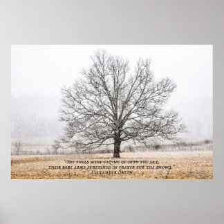 Cades Cove in de sneeuw Poster
