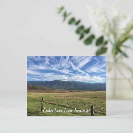 Cades Cove Loop, TN - Open Field Uitzicht Briefkaart (Staand voorkant)