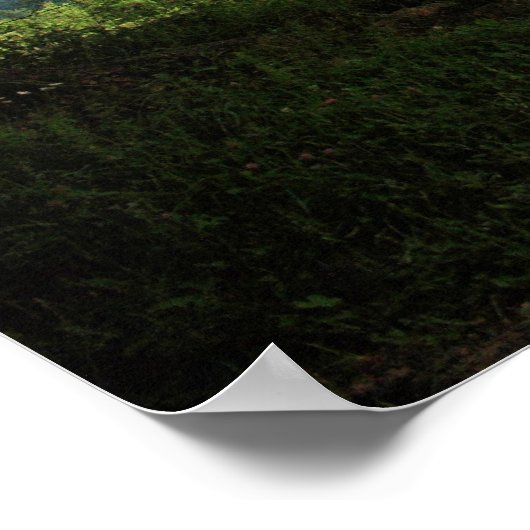 Cade's Cove Poster (Hoek)