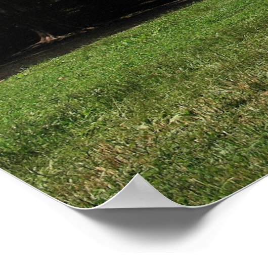 Cade's Cove Poster (Hoek)