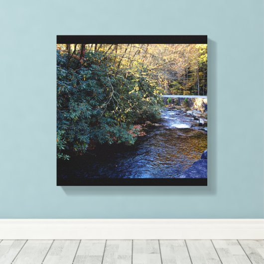 Cades Cove River Smoky Mountains Canvas Afdruk (Insitu (Houten vloer))