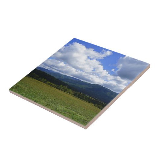 Cades Cove Tegeltje (Zijkant)