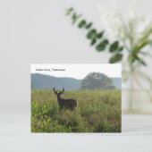 Cades Cove, Tennessee Briefkaart (Staand voorkant)