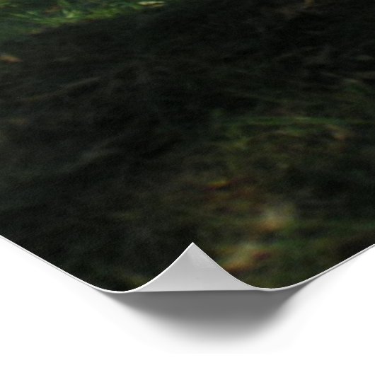 Cades Cove-veld Poster (Hoek)