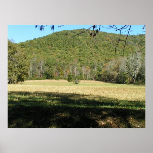 Cades Cove-veld Poster (Voorkant)