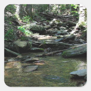 Cade's Cove Vierkante Sticker