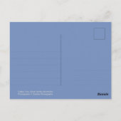 Cades Cove Wildlife - Great Smoky Mountains Briefkaart (Achterkant)