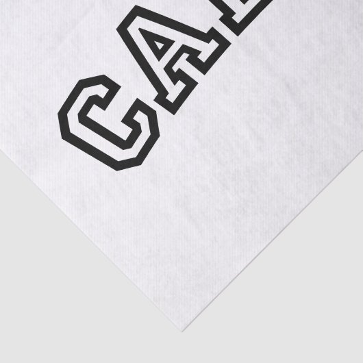 CADET TISSUEPAPIER (Detail)