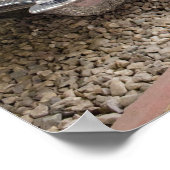 Cadillac Eldorado Poster (Hoek)