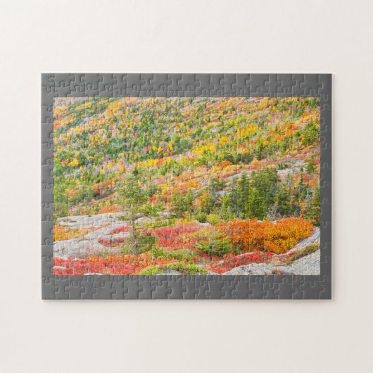 Cadillac Mountain in Herfst, Nationaal Park Acadia Legpuzzel (Horizontaal)