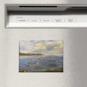 Cadiz Dizaura Magneet (Insitu (Vaatwasser))