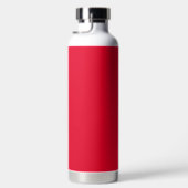 Cadmium Red Solid Color Waterfles (Rechts)