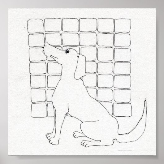 Cador Dog met Vierkanten Originele Tekening Poster (Voorkant)