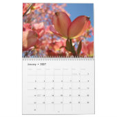 CADOUCES KADO'S Bloeiende Cornus-bomen Kalender (Jan 2027)