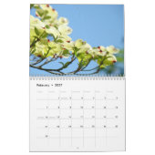 CADOUCES KADO'S Bloeiende Cornus-bomen Kalender (Feb 2027)
