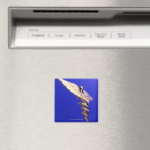 Caduceus, computerkunstwerk. De caduceus is een Magneet (Insitu (Vaatwasser))