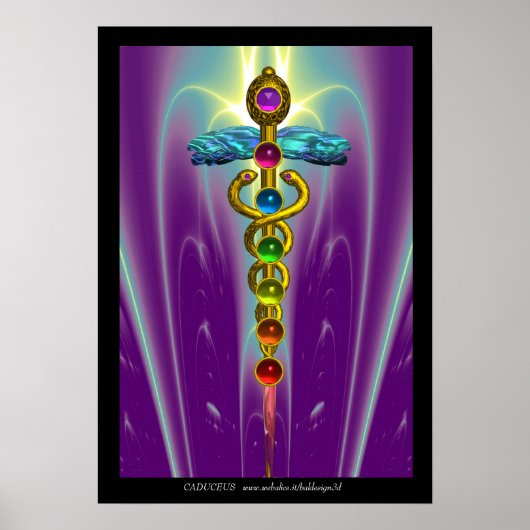 CADUCEUS EN 7 CHAKRAS, Yoga Alternative Medicine Poster (Voorkant)