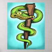 Caduceus Poster (Voorkant)