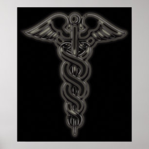 Caduceus Poster