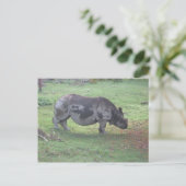 CAE5ULC1 BRIEFKAART (Staand voorkant)