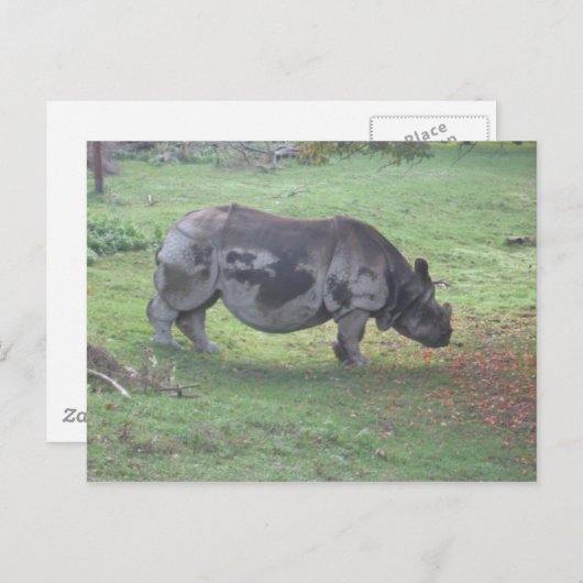 CAE5ULC1 BRIEFKAART (Voorkant / Achterkant)