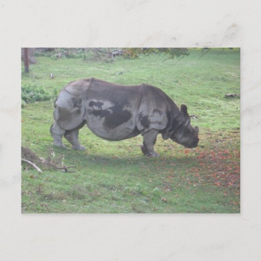 CAE5ULC1 BRIEFKAART (Voorkant)