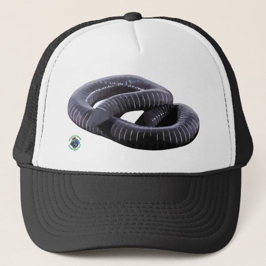 Caecilian Trucker Hat Trucker Pet (Voorkant)