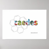 Caedes.net Logo Poster (Voorkant)