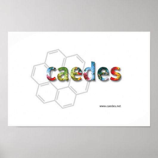 Caedes.net Logo Poster (Voorkant)