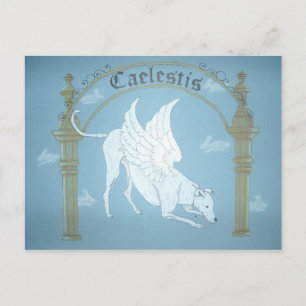 Caelestis "Hound Heaven"-postkaart Briefkaart