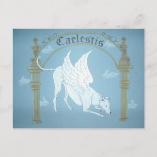 Caelestis "Hound Heaven"-postkaart Briefkaart