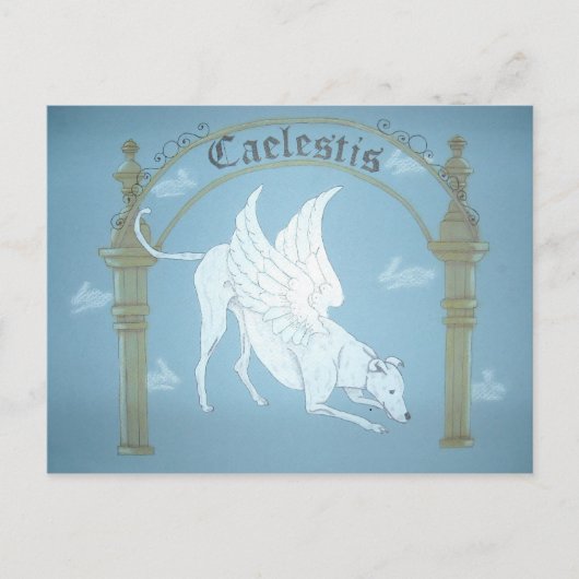 Caelestis "Hound Heaven"-postkaart Briefkaart (Voorkant)