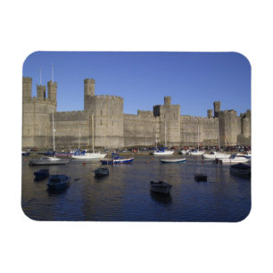 Caernarfon Castle, Gwynedd, Wales (RF) Magneet