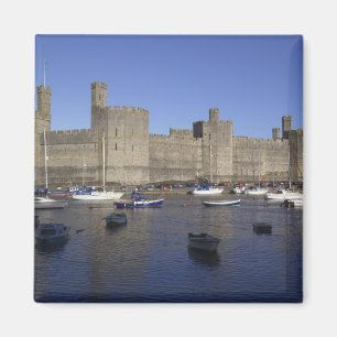 Caernarfon Castle, Gwynedd, Wales (RF) Magneet