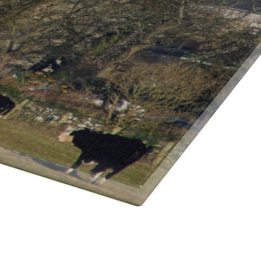 Caernarfon Castle Wales. Snijplank (Hoek)