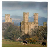Caernarfon Castle Wales. Tegeltje (Voorkant)