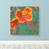 Caesalpinia Canvas Afdruk (Insitu (Houten vloer))