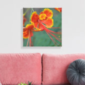 Caesalpinia Canvas Afdruk (Insitu (Woonkamer))