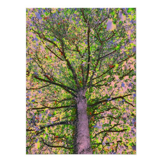 Caesar Salad 15 Foto Afdruk (Voorkant)